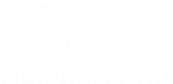 Humminbird